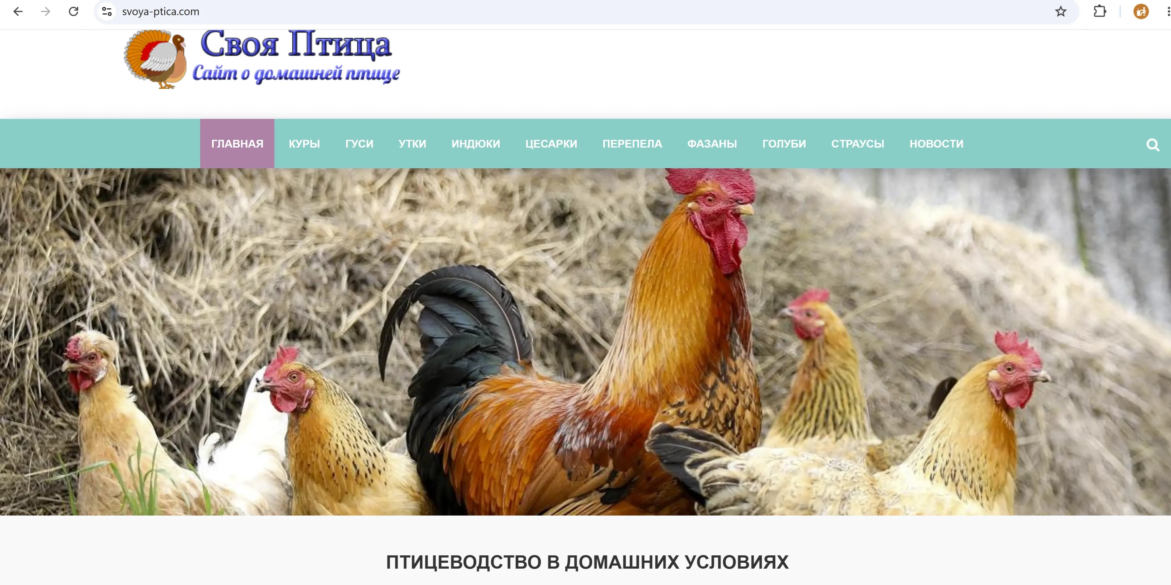 Своя Птица — главная страница: логотип, меню разделов по видам птицы и баннер «Птицеводство в домашних условиях»