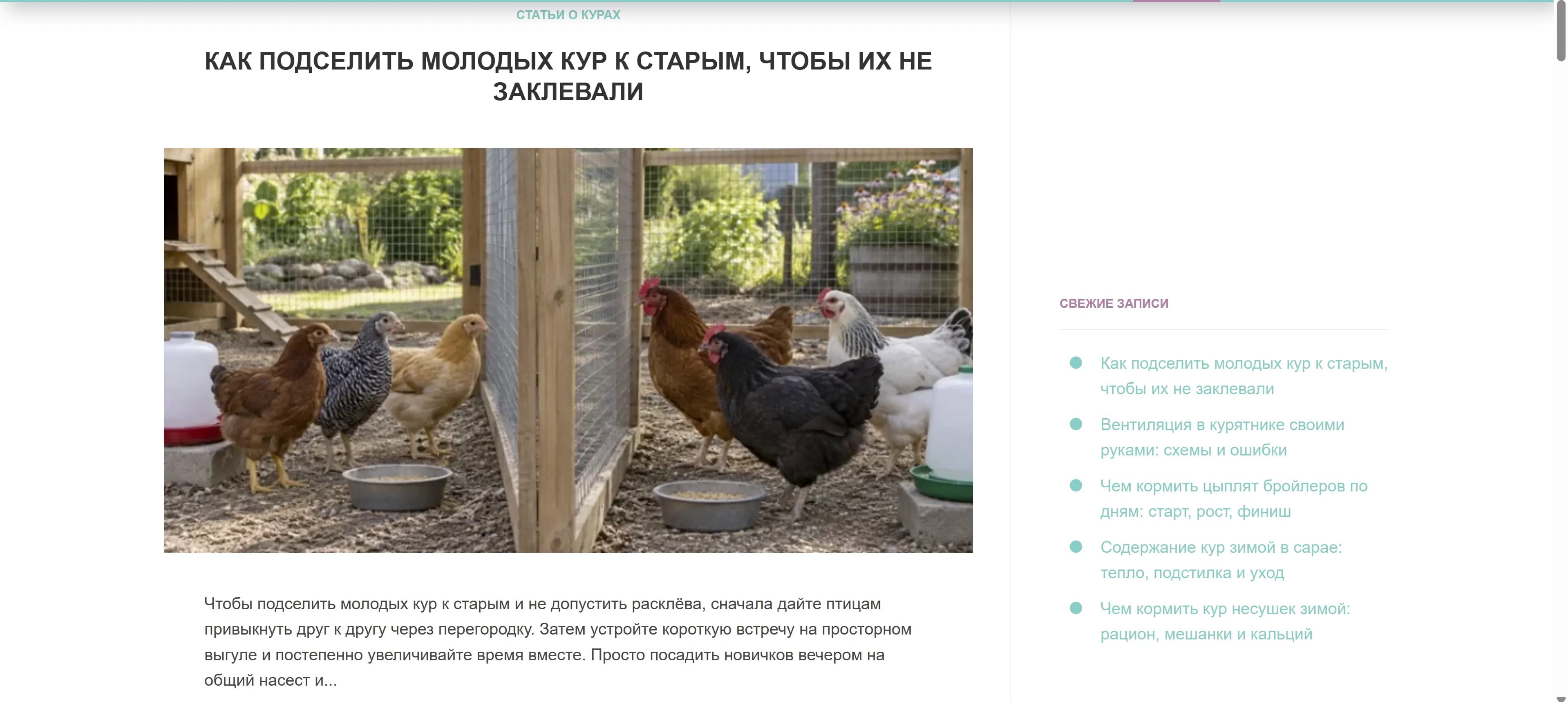 Своя Птица — статья «Как подселить молодых кур к старым» в рубрике «Статьи о курах»